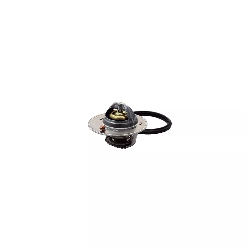 Thermostat, liquide de refroidissement FISPA 94.791