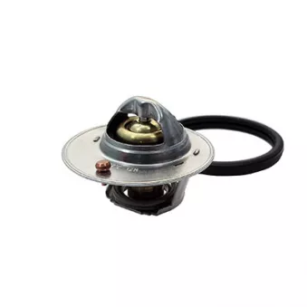 Thermostat, liquide de refroidissement FISPA 94.792
