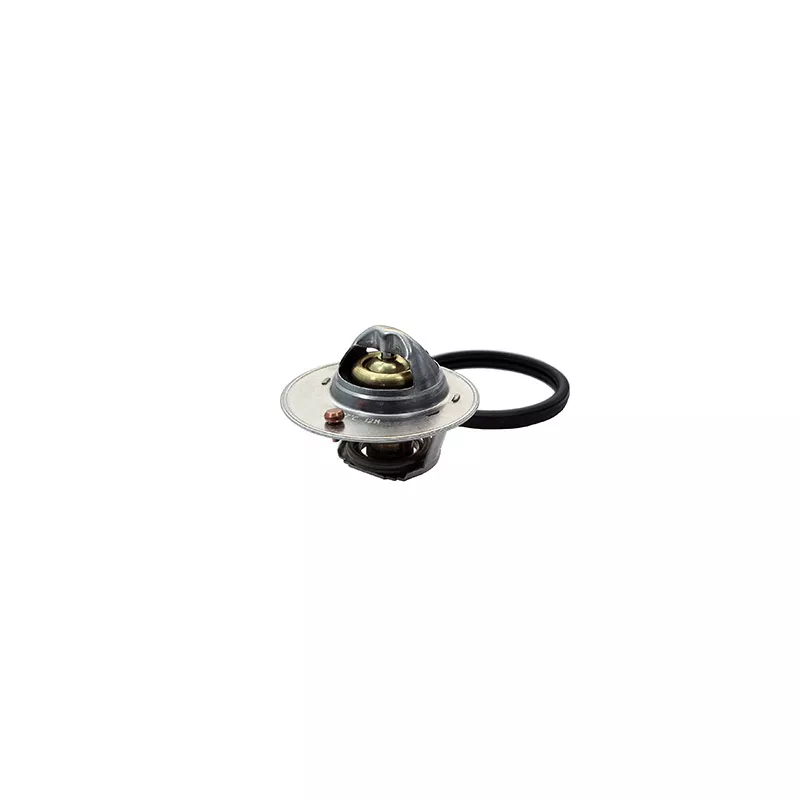 Thermostat, liquide de refroidissement FISPA 94.792