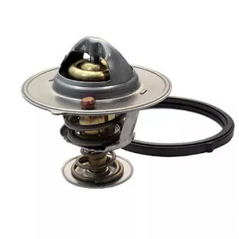 Thermostat, liquide de refroidissement FISPA