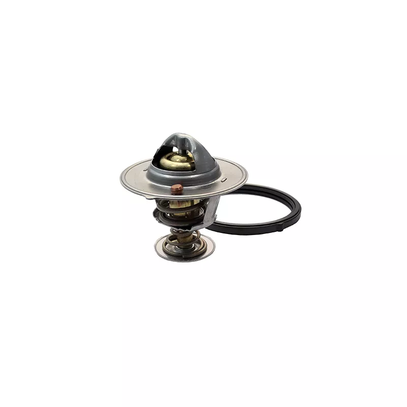 Thermostat, liquide de refroidissement FISPA 94.794