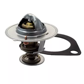 Thermostat, liquide de refroidissement FISPA 94.796