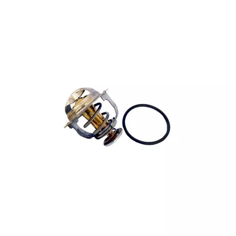 Thermostat, liquide de refroidissement FISPA 94.821