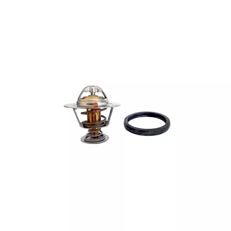 Thermostat, liquide de refroidissement FISPA 94.836