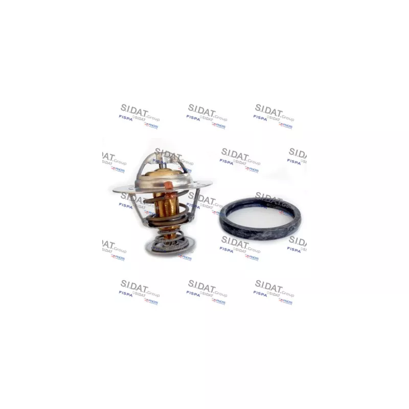 Thermostat, liquide de refroidissement FISPA 94.836A2
