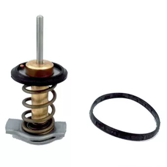 Thermostat, liquide de refroidissement FISPA