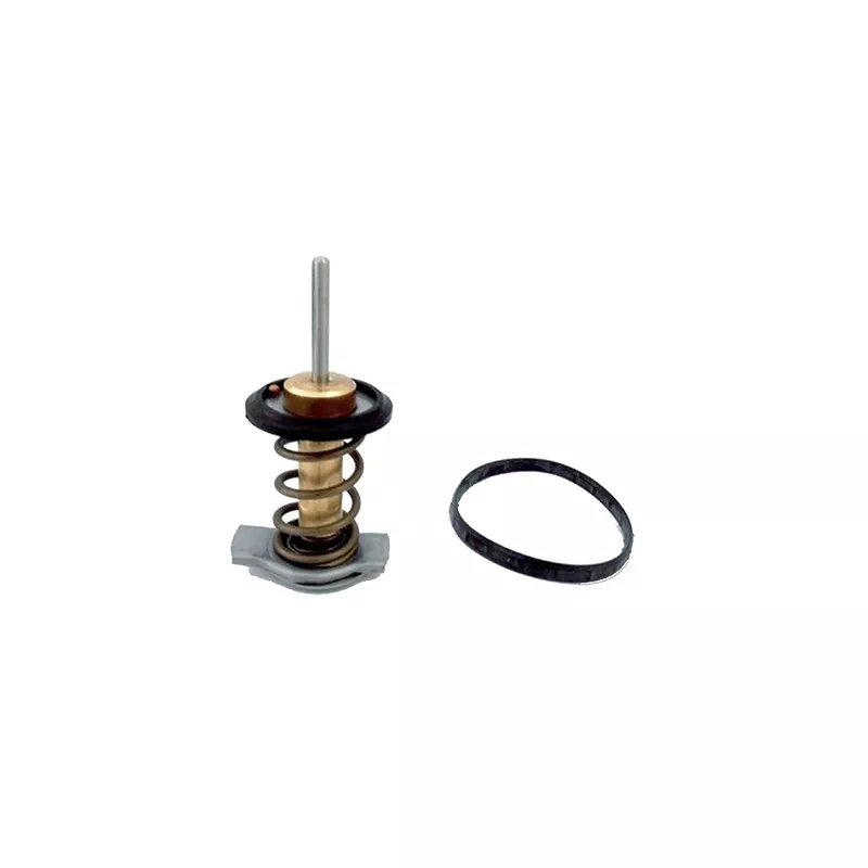 Thermostat, liquide de refroidissement FISPA 94.840
