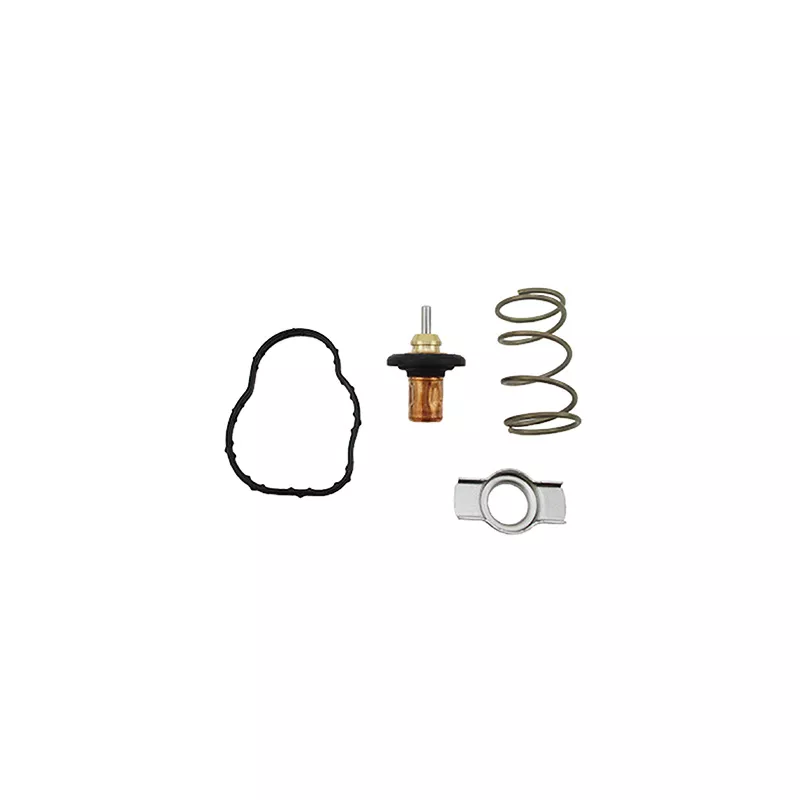 Thermostat, liquide de refroidissement FISPA 94.842K