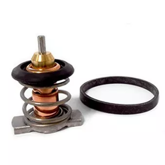 Thermostat, liquide de refroidissement FISPA