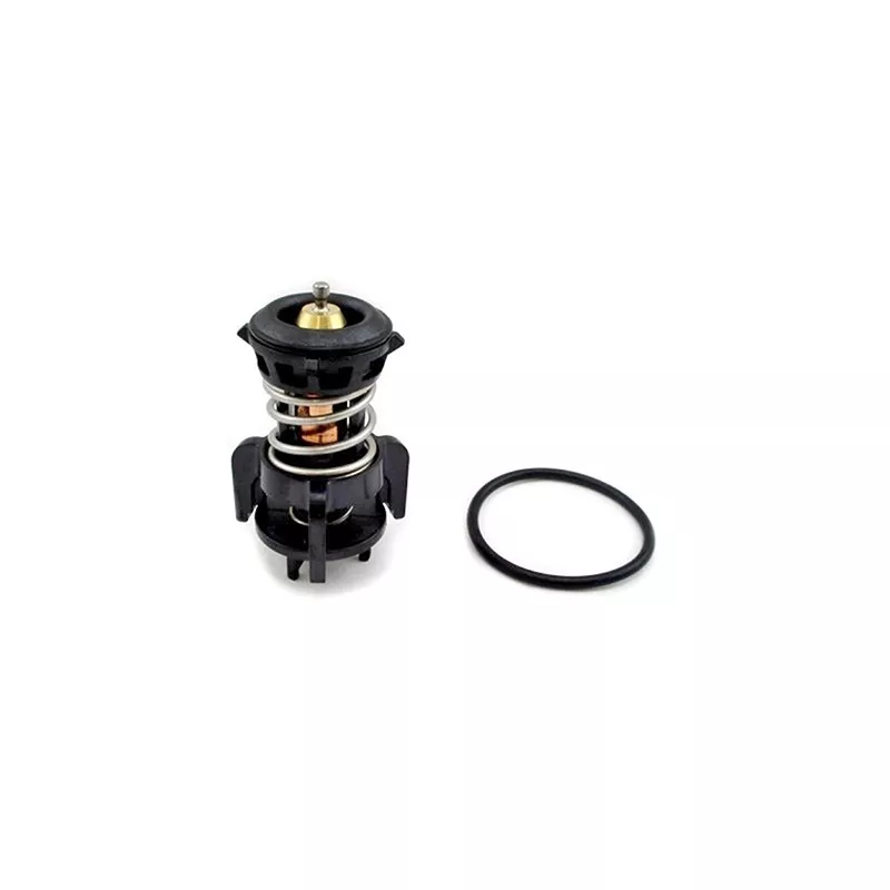 Thermostat, liquide de refroidissement FISPA 94.863