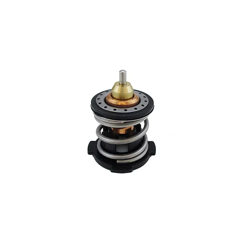 Thermostat, liquide de refroidissement FISPA 94.900