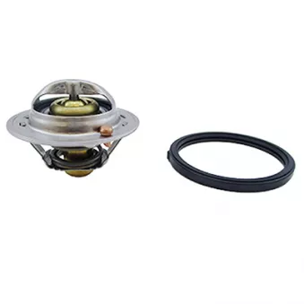 Thermostat, liquide de refroidissement FISPA 94.909
