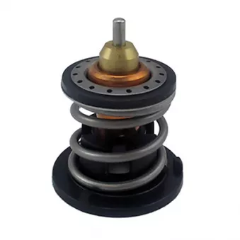 Thermostat, liquide de refroidissement FISPA 94.918
