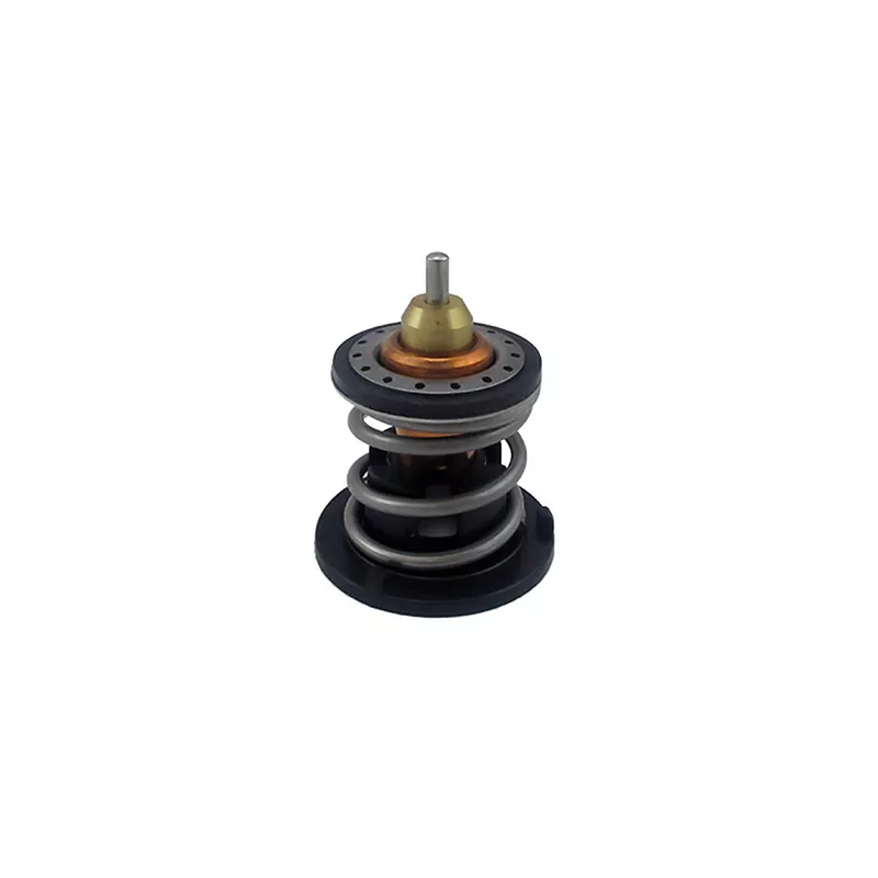 Thermostat, liquide de refroidissement FISPA 94.918