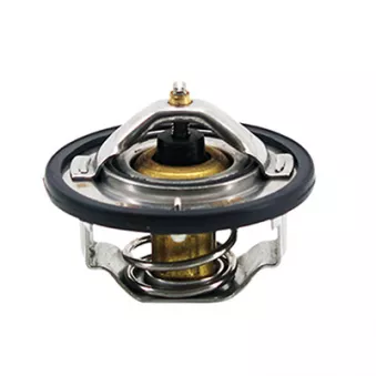 Thermostat, liquide de refroidissement FISPA
