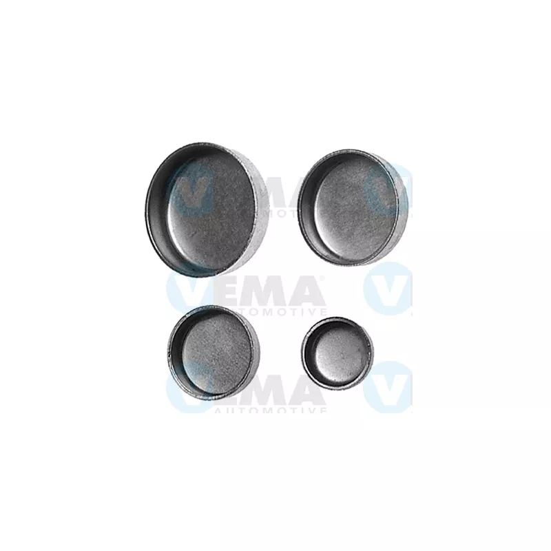 Vis-bouchon, carter de vilebrequin VEMA 2040