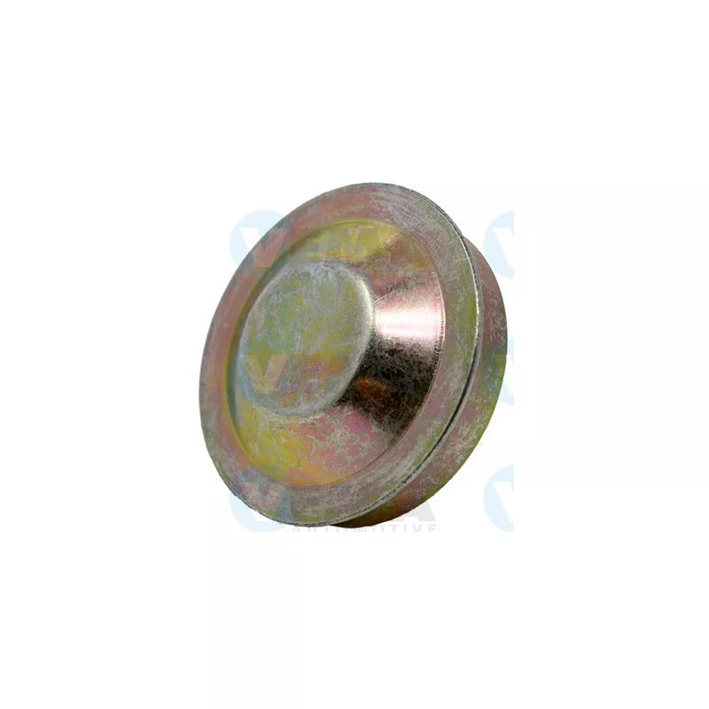 Couvercle de protection, moyeu de roue VEMA 2194