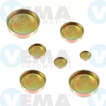 Vis-bouchon, carter de vilebrequin VEMA 305020