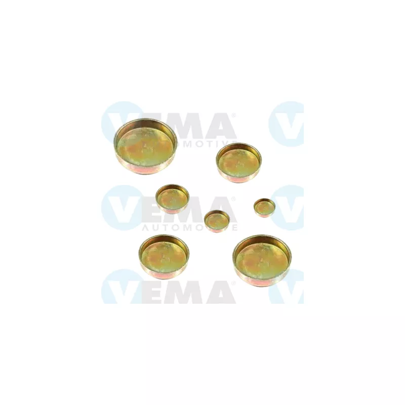 Vis-bouchon, carter de vilebrequin VEMA 305035