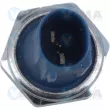 Indicateur de pression d'huile VEMA 360016 - Visuel 2