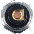 Indicateur de pression d'huile VEMA 360041 - Visuel 2