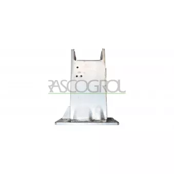 Support, pare-chocs avant gauche PRASCO AD0241604
