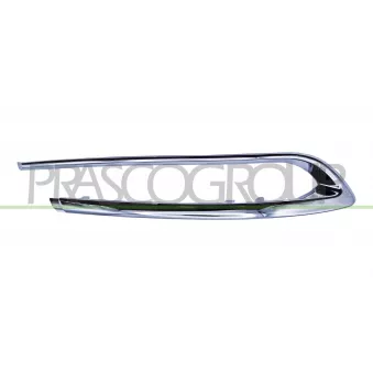 Baguette et bande protectrice, pare-chocs arrière gauche PRASCO BM0501254