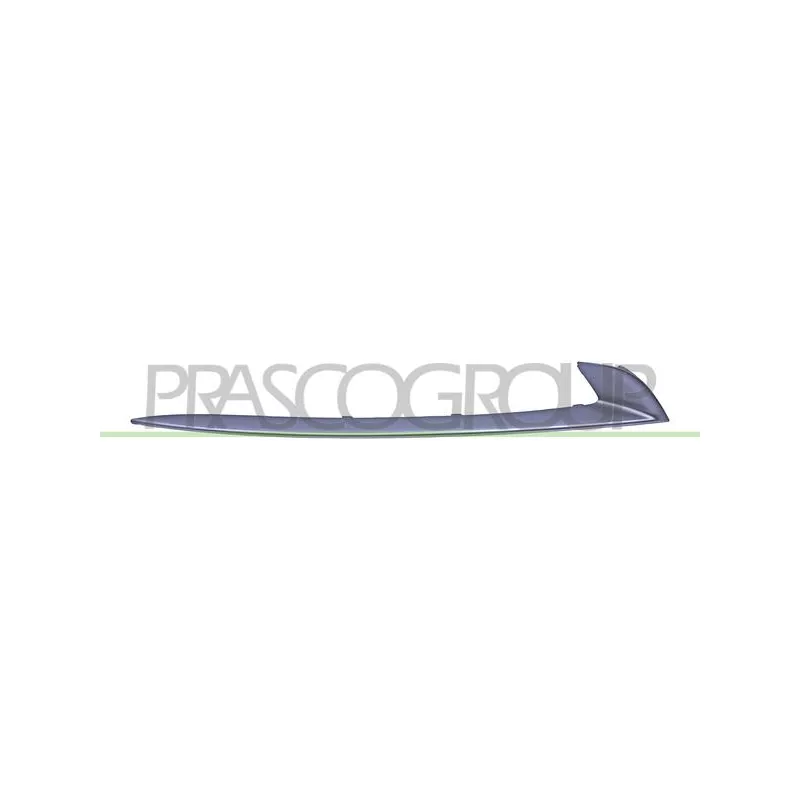 Baguette et bande protectrice, pare-chocs avant droit PRASCO BM0502203