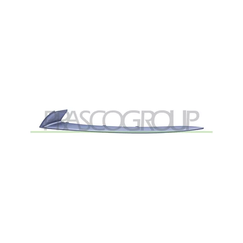 Baguette et bande protectrice, pare-chocs avant gauche PRASCO BM0502204