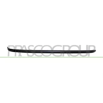 Baguette et bande protectrice, pare-chocs PRASCO BM1211255
