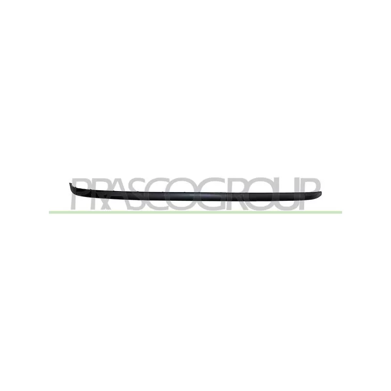 Baguette et bande protectrice, pare-chocs PRASCO BM1211255