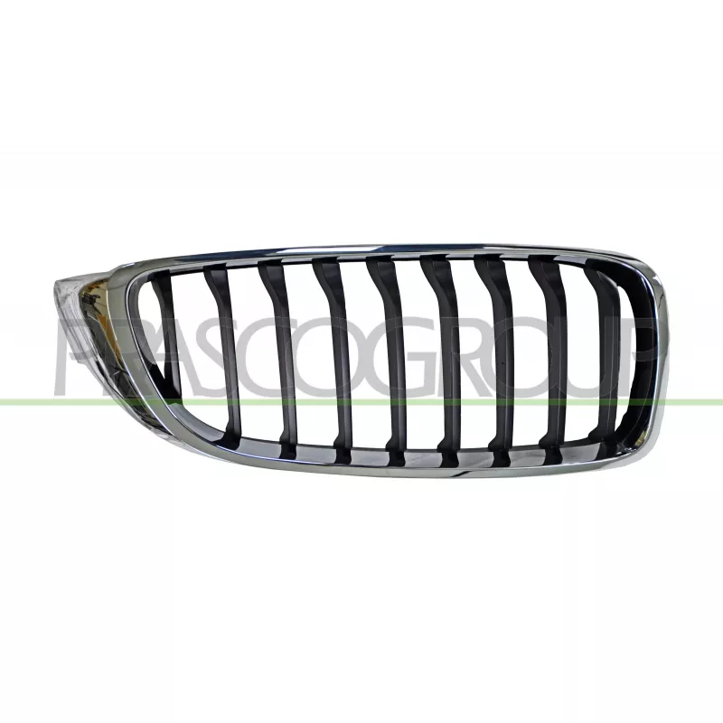 Grille de radiateur PRASCO BM4002013