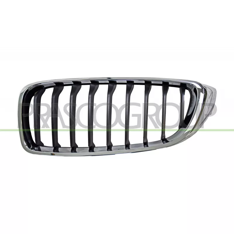 Grille de radiateur PRASCO BM4002014