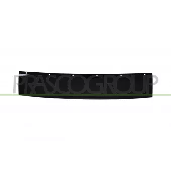 Baguette et bande protectrice, pare-chocs PRASCO BM8091245