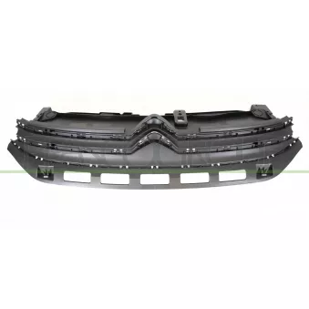 Grille de radiateur PRASCO CI3282001
