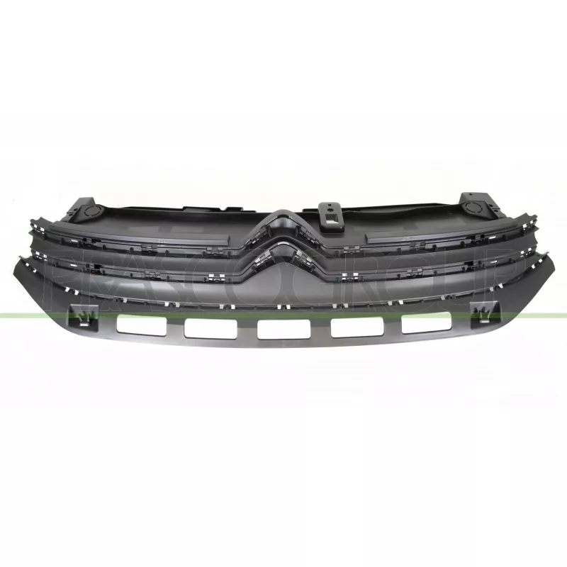 Grille de radiateur PRASCO CI3282001