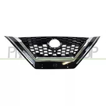 Grille de radiateur PRASCO DS7142011