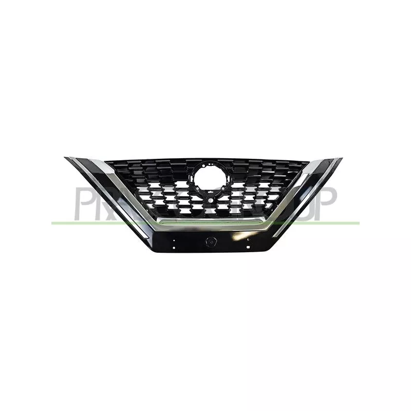 Grille de radiateur PRASCO DS7142011