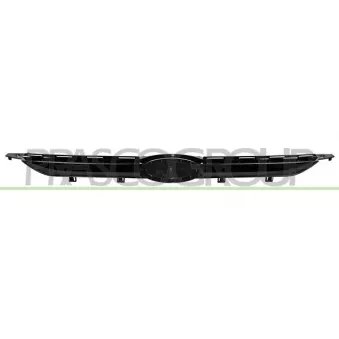 Grille de radiateur PRASCO FD6022031
