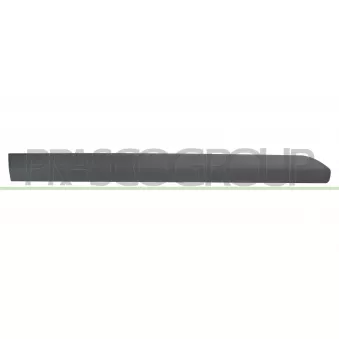 Baguette et bande protectrice, porte avant droit PRASCO FD6401403