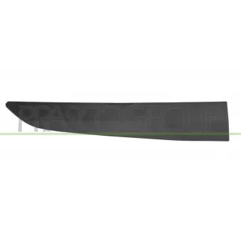 Baguette et bande protectrice, porte arrière droit PRASCO FD6401453