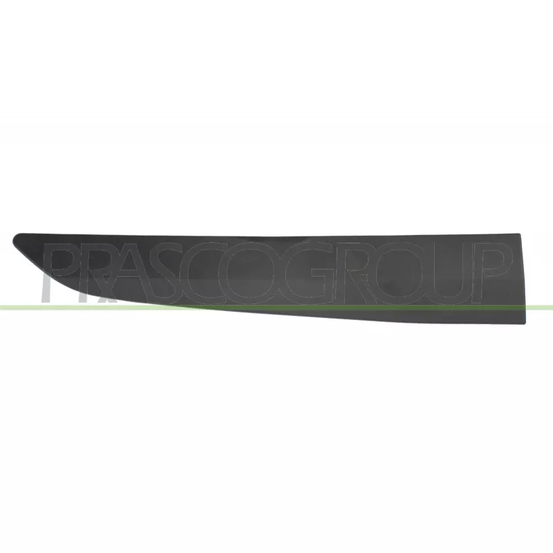 Baguette et bande protectrice, porte arrière droit PRASCO FD6401453