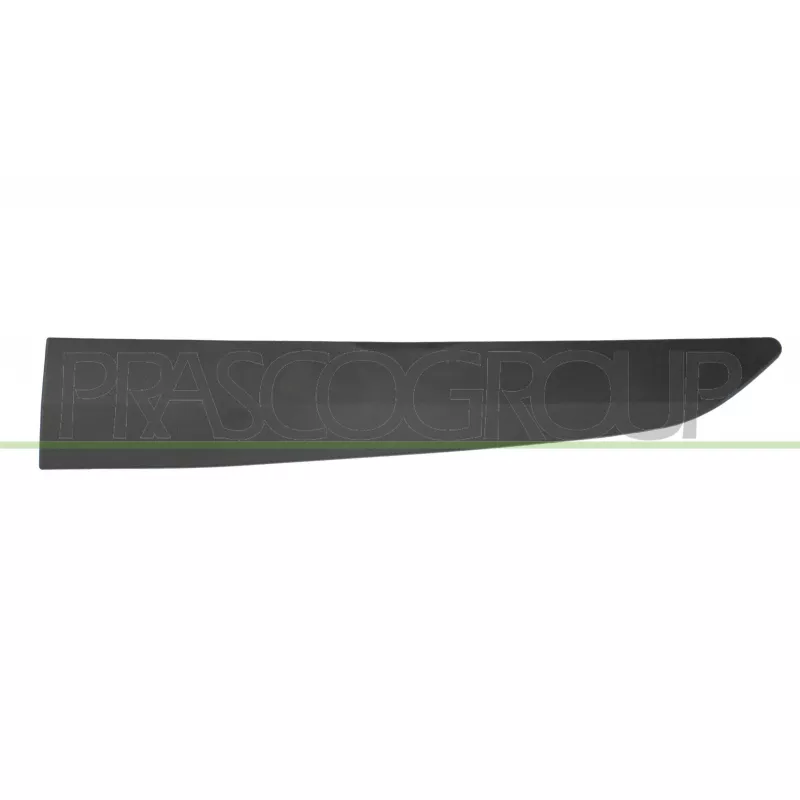 Baguette et bande protectrice, porte arrière gauche PRASCO FD6401454