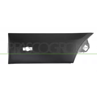 Baguette et bande protectrice, aile arrière gauche PRASCO FD9131456