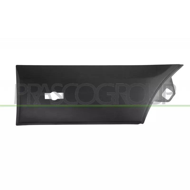 Baguette et bande protectrice, aile arrière gauche PRASCO FD9131456