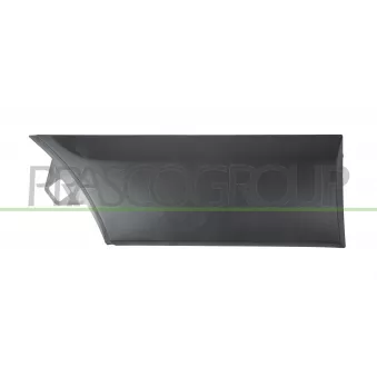 Baguette et bande protectrice, aile arrière droit PRASCO FD9131465