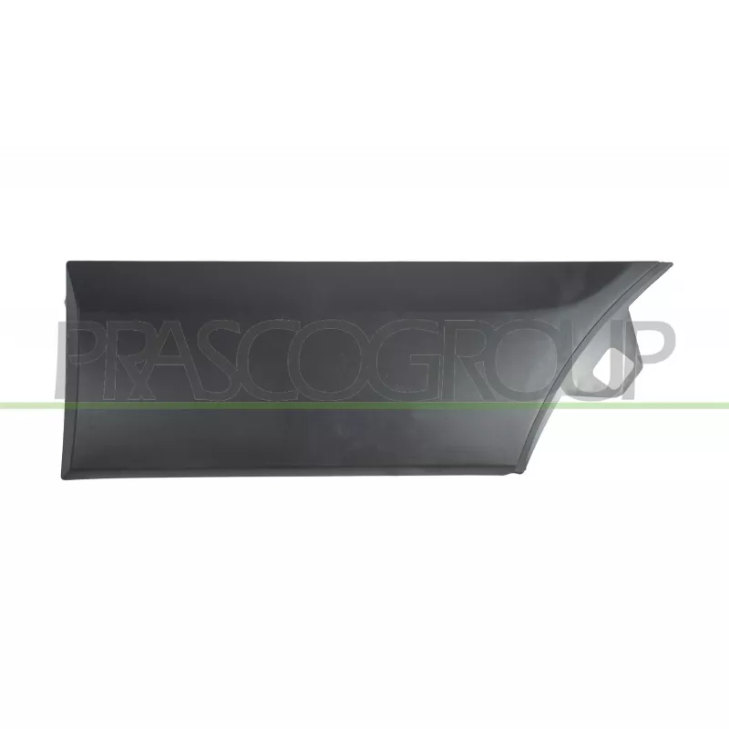 Baguette et bande protectrice, aile arrière gauche PRASCO FD9131466