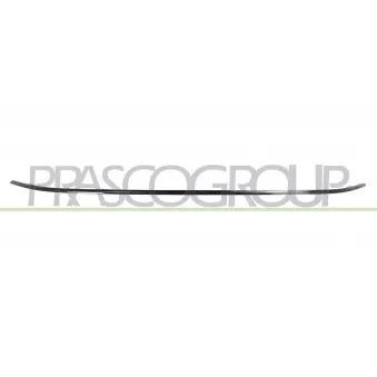 Baguette et bande protectrice, pare-chocs PRASCO FT4501235