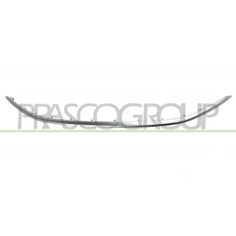 Baguette et bande protectrice, grille de radiateur PRASCO FT4502216
