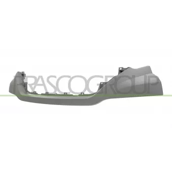 Baguette et bande protectrice, pare-chocs PRASCO FT9512206